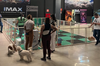 CineDog propõe sessão de cinema pet-friendly em BH neste sábado