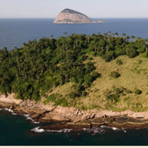 ?Ilhas Cagarras: a beleza nativa revelada em novo guia ilustrado - Cayo Salles/Projeto Ilhas do Rio