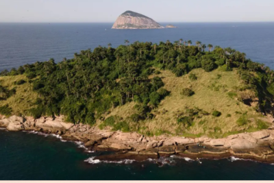 A rica flora das Ilhas Cagarras, em frente à Praia de Ipanema, acaba de ganhar um registro científico e cultural. O Jardim Botânico do Rio lançou o guia ilustrado “Mona Cagarras”, destacando as espécies mais emblemáticas do arquipélago. A área é protegida desde 2010 como Monumento Natural, sob gestão do ICMBio. -  (crédito: Cayo Salles/Projeto Ilhas do Rio)