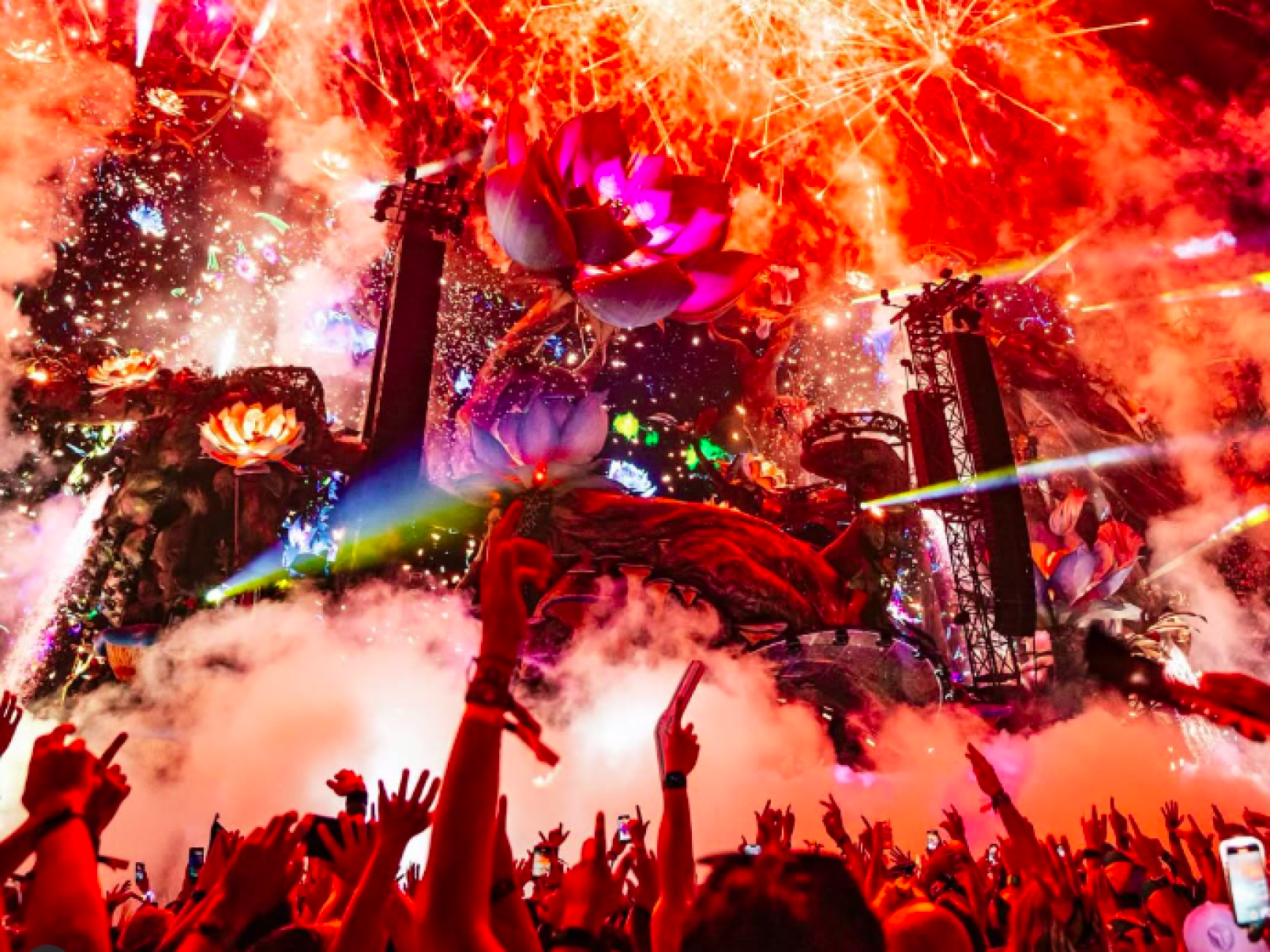 Tomorrowland Brasil: hotéis investem em estratégias de comodidade