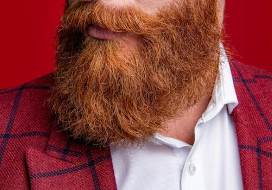 Reprodução/Freepik