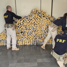 MG: apreensão de maconha pela PRF em 2025 já supera total do ano passado - PRF/Divulgação