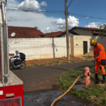 Casa pega fogo e dois cães morrem carbonizados em Minas - CBMMG/Divulgação