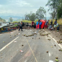Carreta carregada de manga tomba e causa interdição de 9 km na BR-381 - Redes Sociais/Reprodução