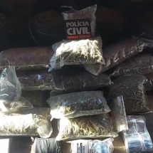 Operação mira quadrilha que movimentou R$ 50 milhões com drogas sintéticas - PCMG/Divulgação