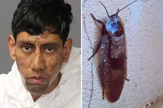 Homem diz que barata o convenceu a matar duas pessoas