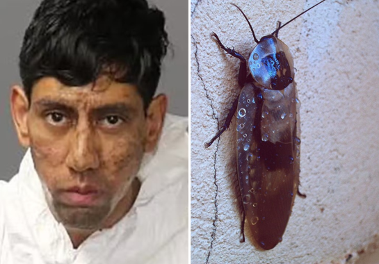 Reprodução/Bernalillo County Sheriff's Office/Wikimedia Commons