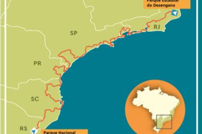 O Caminho da Mata Atlântica é a maior trilha em floresta do Brasil. Tem 4 mil km de extensão, desde o Parque Estadual do Desengano, no Rio de Janeiro, até o Parque Nacional de Aparados da Serra, no Rio Grande do Sul.  -  (crédito: Reprodução caminhodamataatlantica.org,br)