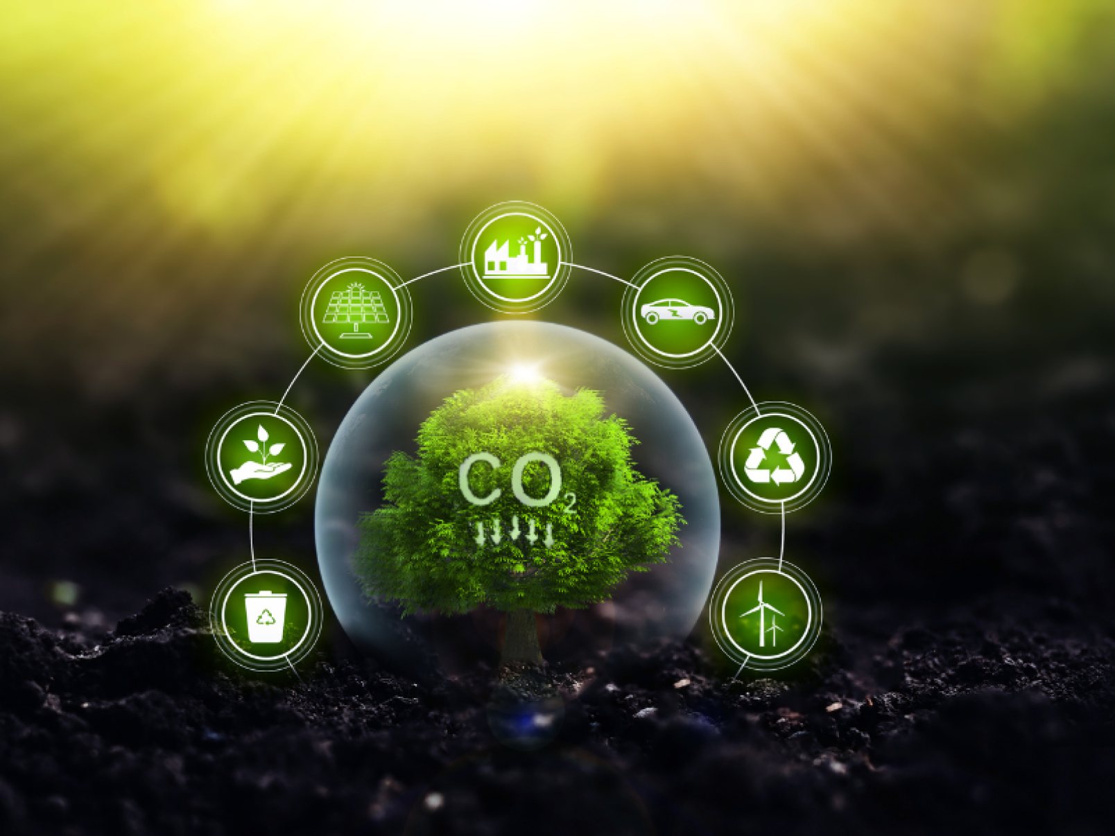 FutureClimate integra iniciativa global de remoção de CO? - DINO