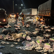 Vídeo: colisão entre carretas espalha carga e interdita parte da BR-381 - Redes Sociais/Reprodução