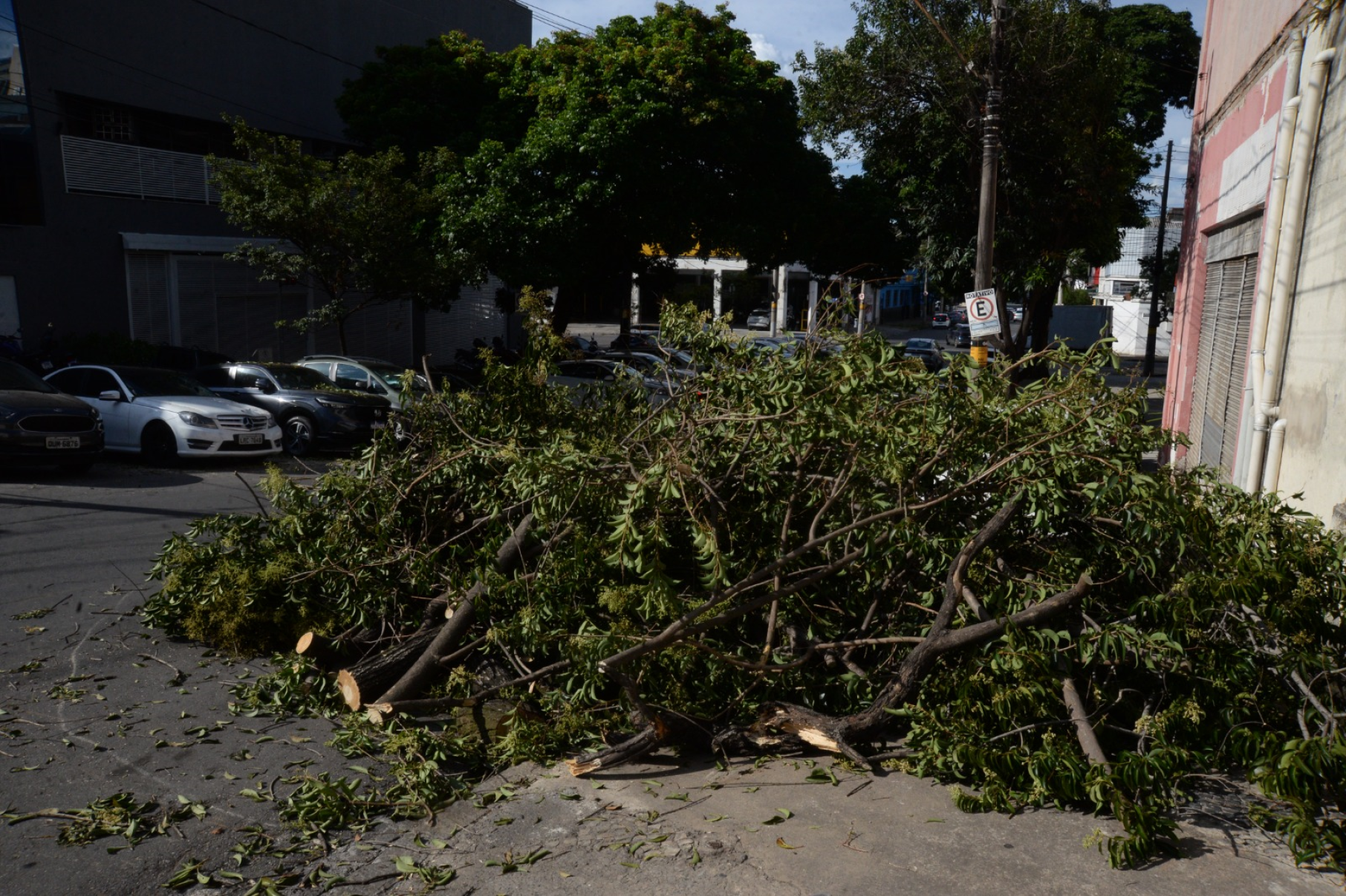 Árvore de médio porte caiu sobre um carro e interditou parte da Rua Uberaba-Túlio Santos/EM/D.A. Press