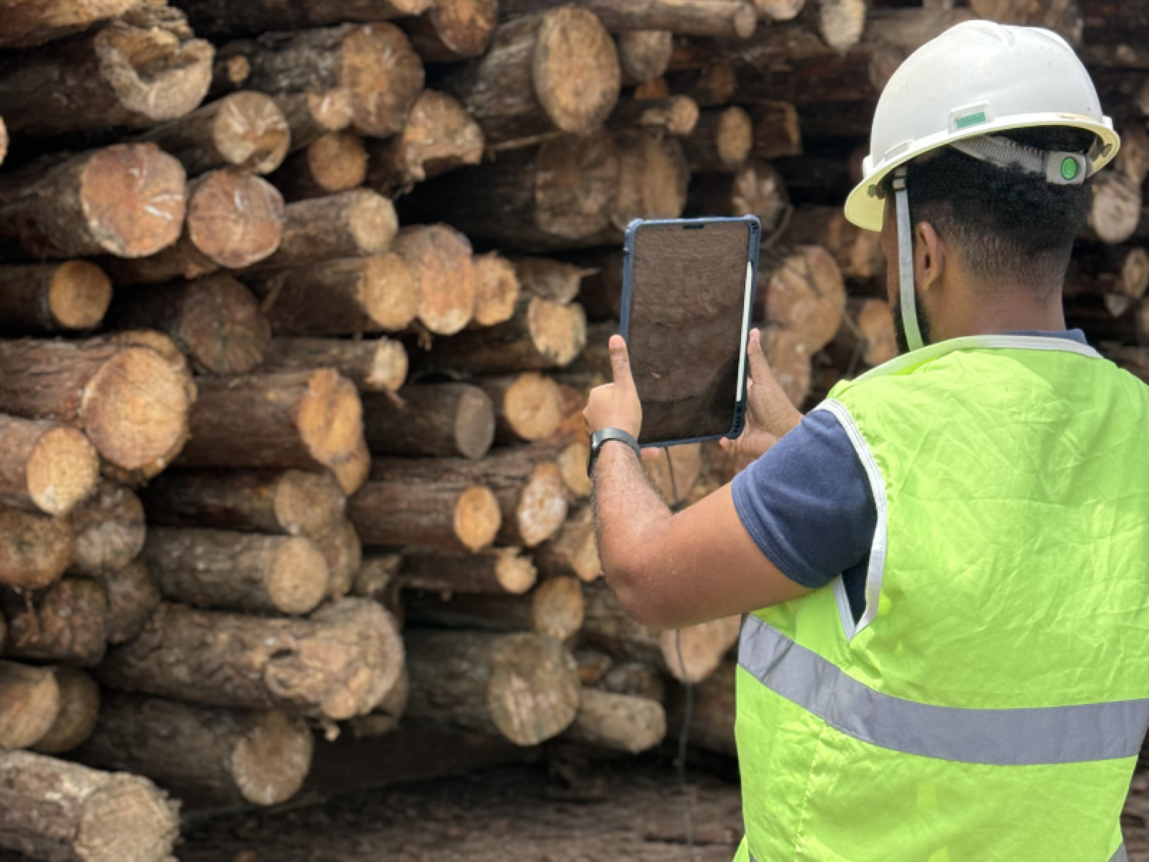 Pixlog é uma das Top 10 premiadas no Show Florestal - DINO