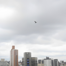 Minas está sob alerta duplo: chuvas intensas e baixa umidade; saiba onde - Marcos Vieira/EM/D.A.Press