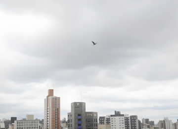 Mais de 75% dos municípios mineiros estão sob alertas de climas extremos e opostos, oud e chuva intensa ou de baixa umidade -  (crédito: Marcos Vieira/EM/D.A.Press)
