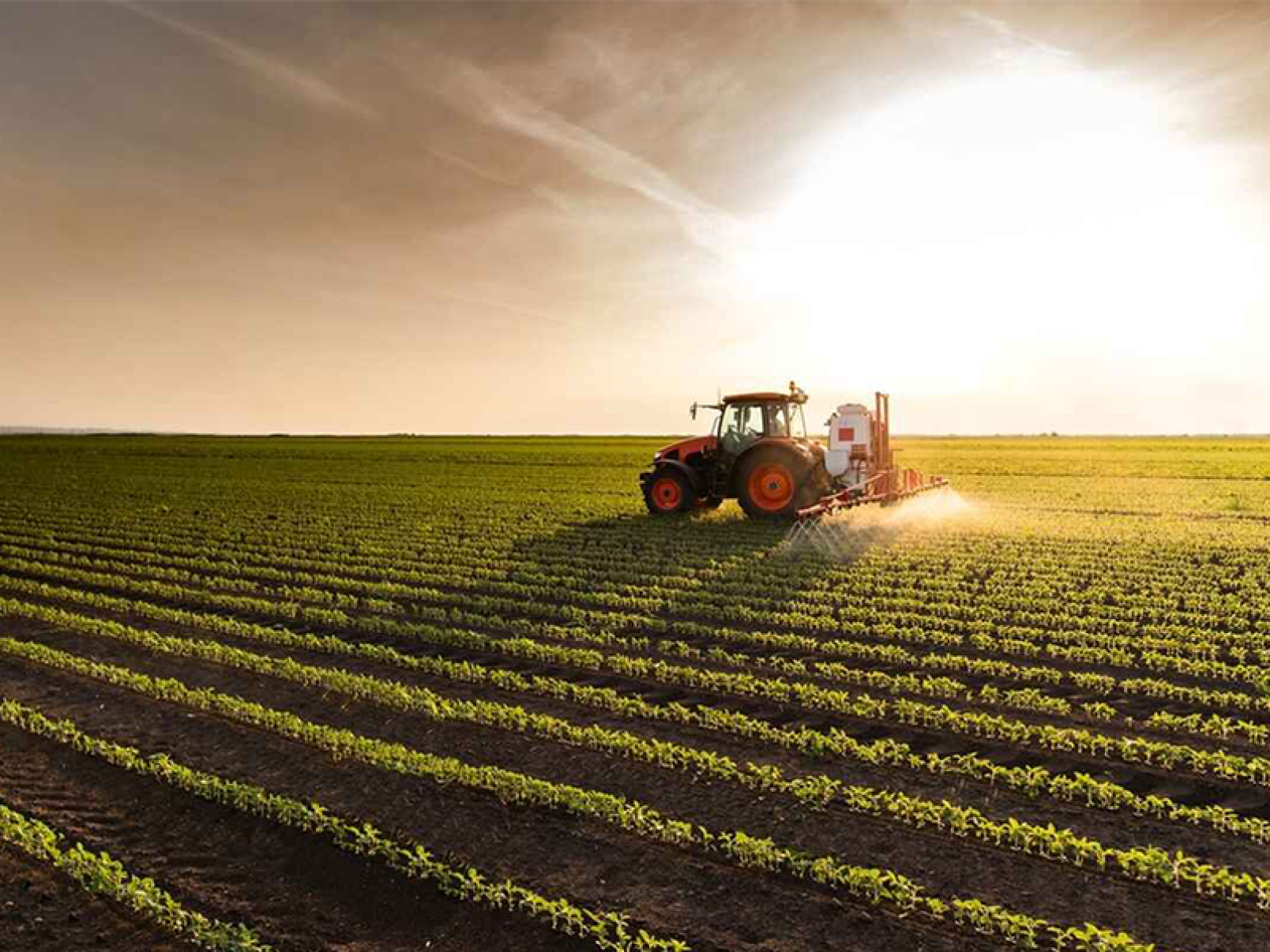 Grupo Açotubo oferece linha de produtos para impulsionar o agronegócio - DINO