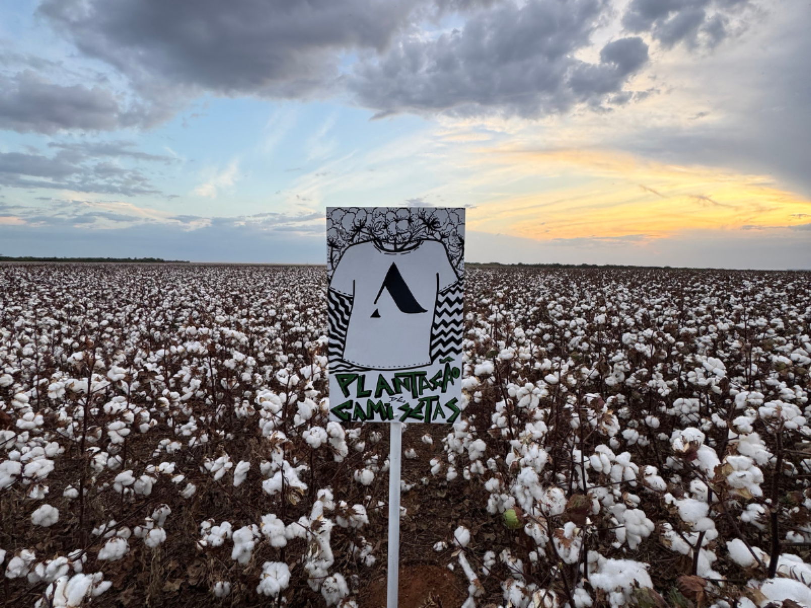 Future Climate e Almagrino vestem transparência na COP30 - DINO