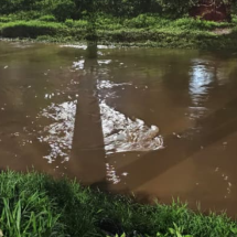 Carro é fechado, cai no rio e deixa quatro feridos em MG - Corpo de Bombeiros/Reprodução