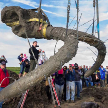 Agricultores descobrem fóssil de mamute de 15 mil anos - divulgação