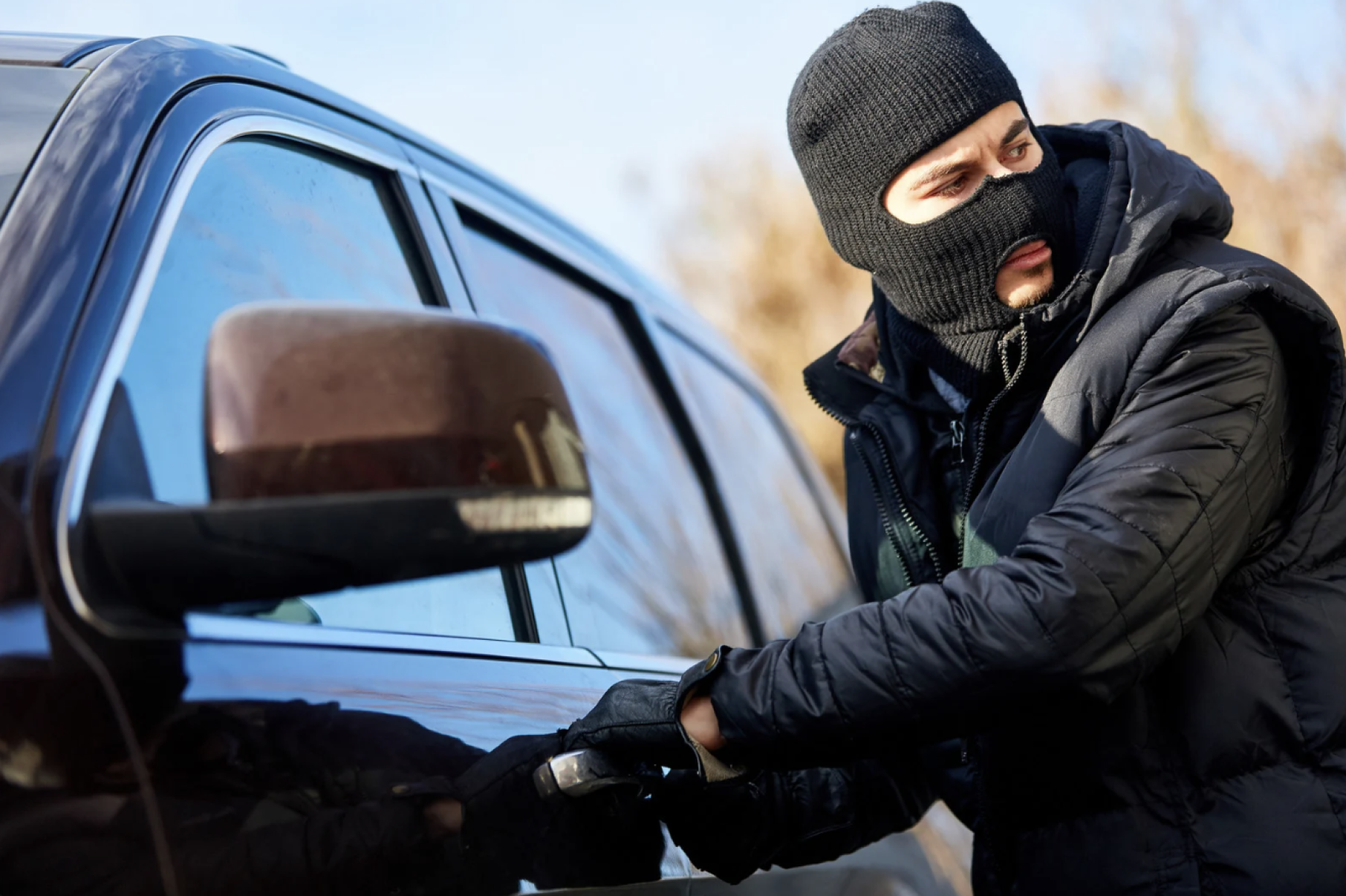 Carros visados elevam seguro e ampliam comparação no mercado - DINO