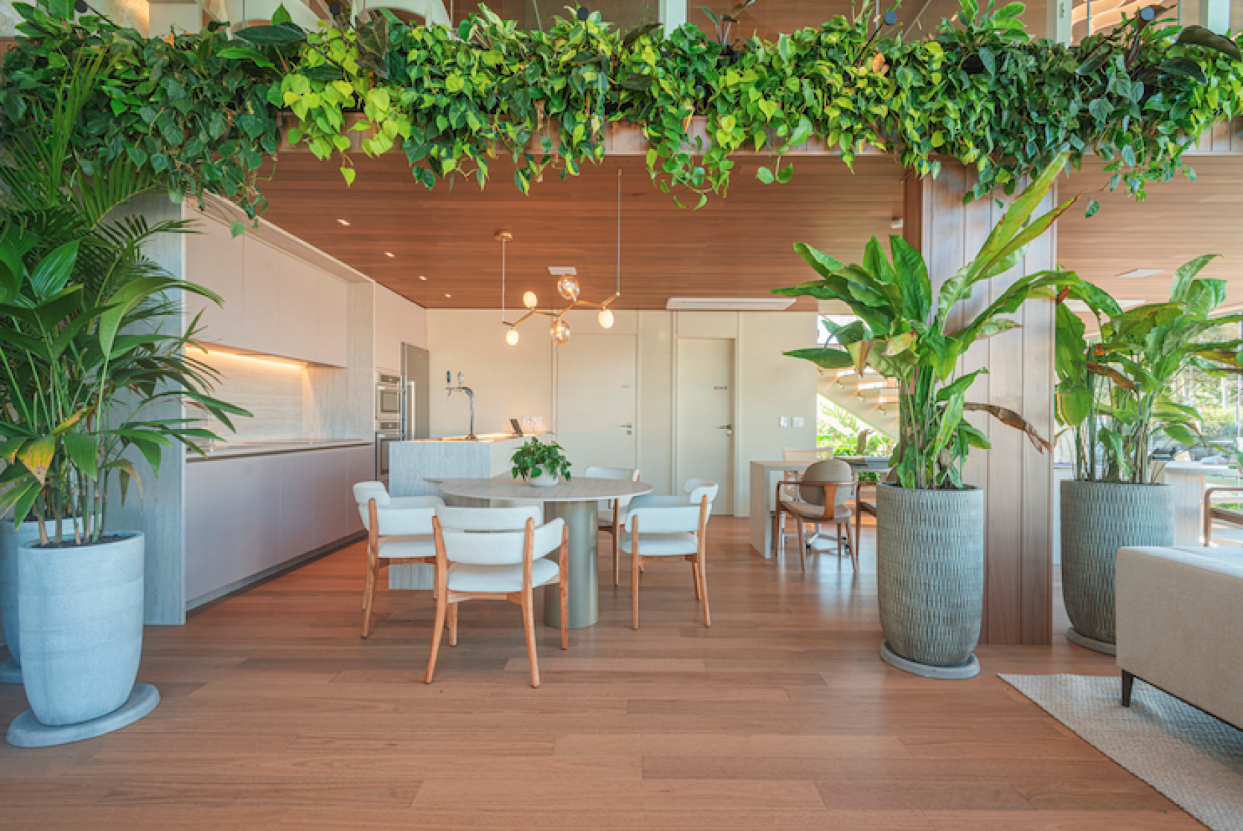 Arquitetura prioriza inovação e soluções atemporais - DINO