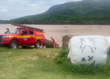 Traficante vê polícia, pula em rio e precisa ser resgatado pelos bombeiros em MG -  (crédito: PMMG/Reprodução)