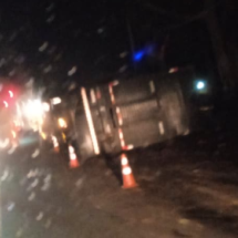 Carreta com bois tomba e interdita a BR-381, em MG - Redes Sociais/Reprodução