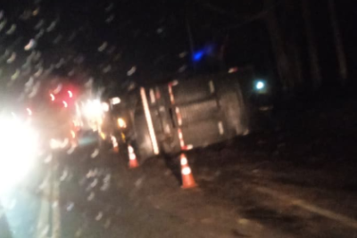 Carreta carregada com bois tomba e interdita BR-381 em Minas -  (crédito: Redes Sociais/Reprodução)