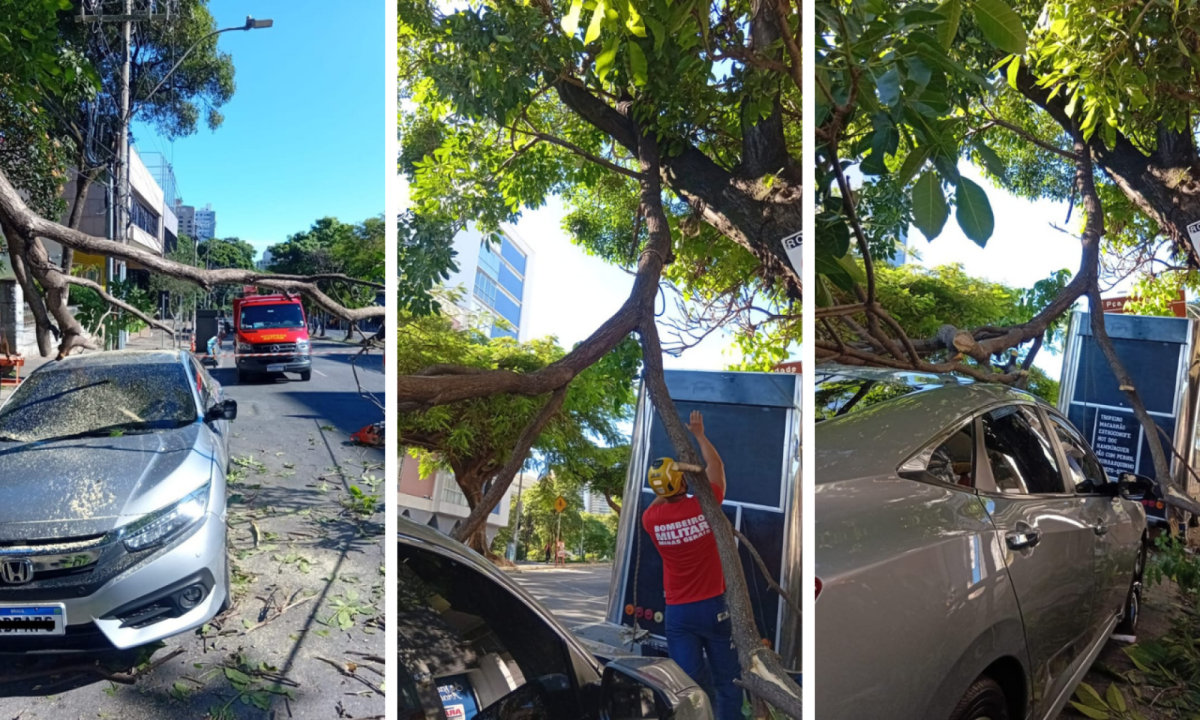 O galho ficou preso sobre o ve&iacute;culo e impediu que o motorista sa&iacute;sse imediatamente do carro. Com a ajuda de pessoas que passavam pela via o homem conseguiu sair. Apesar do susto, ningu&eacute;m ficou ferido 