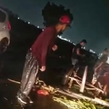 MG: ônibus bate em carroça e deixa um ferido em rodovia estadual - Redes Sociais/Reprodução