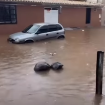Chuva provoca alagamentos e deixa rastro de estragos em cidades mineiras - Reprodução/Redes Sociais 