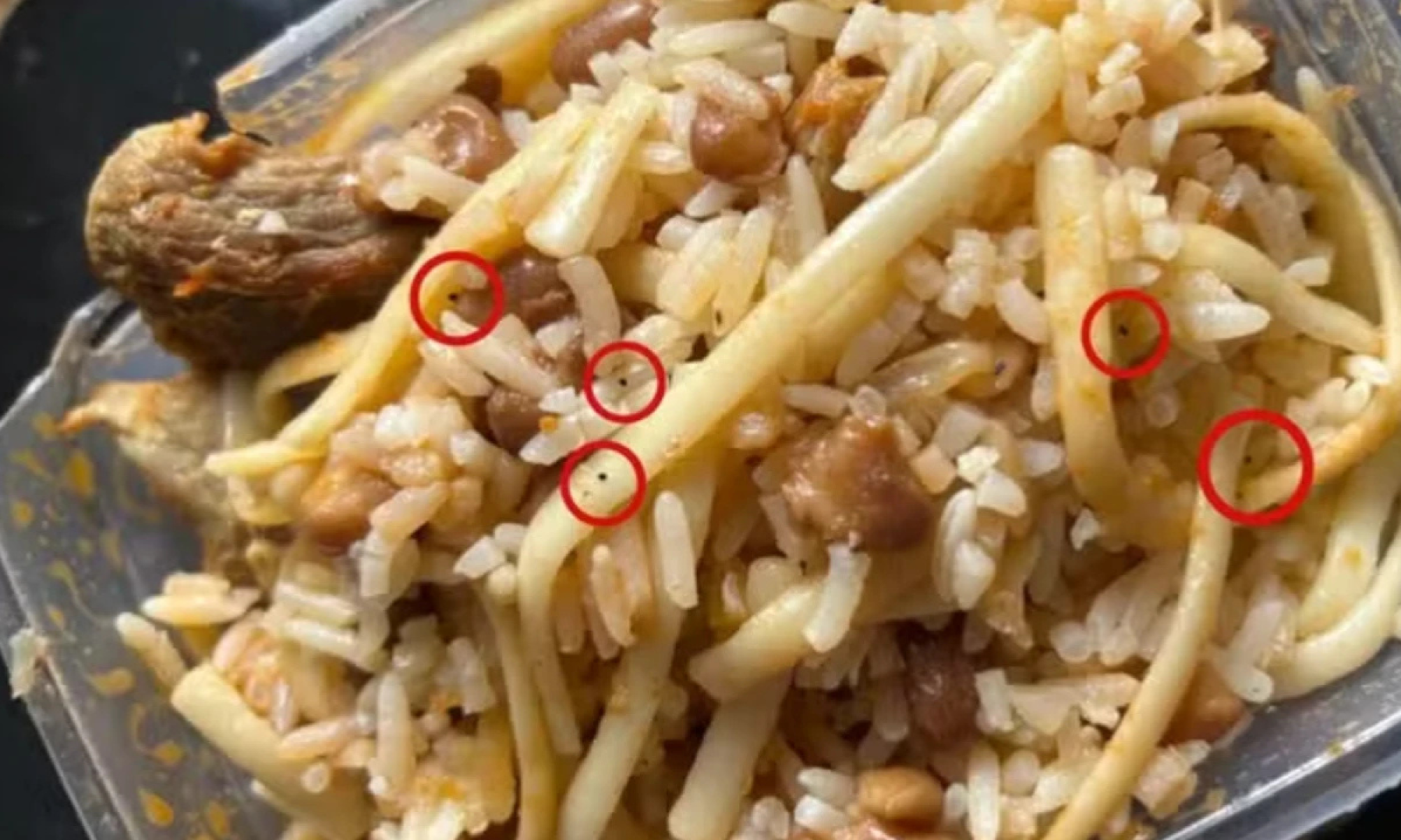 Adolescente tenta envenenar pais com chumbinho por namoro proibido