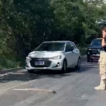 Vídeo: PRF interrompe trânsito na BR-251 para o - PRF/Reprodução