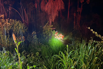 Idoso de 83 anos cai com carro em ribanceira de 6 metros de profundidade -  (crédito: Divulga&ccedil;&atilde;o/CBMG)