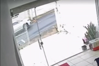 Vídeo: homem atropela cachorro em Patos de Minas, foge e é preso -  (crédito: ReproduÃ§Ã£o/redes sociais)