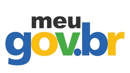 Conta gov.br: como subir seu nível para prata ou ouro? Guia completo - Reprodu&ccedil;&atilde;o/ Gov.br