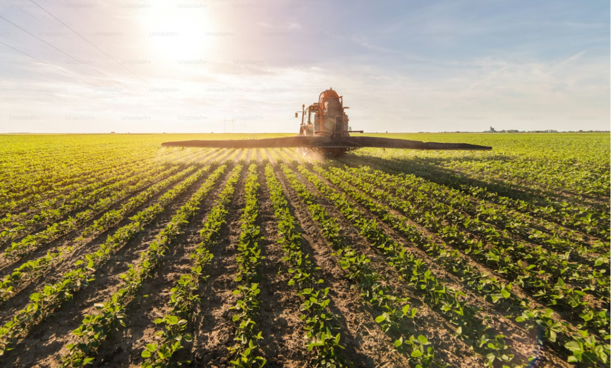 Derivados de potássio entregam eficiência e escala ao agro
 - DINO