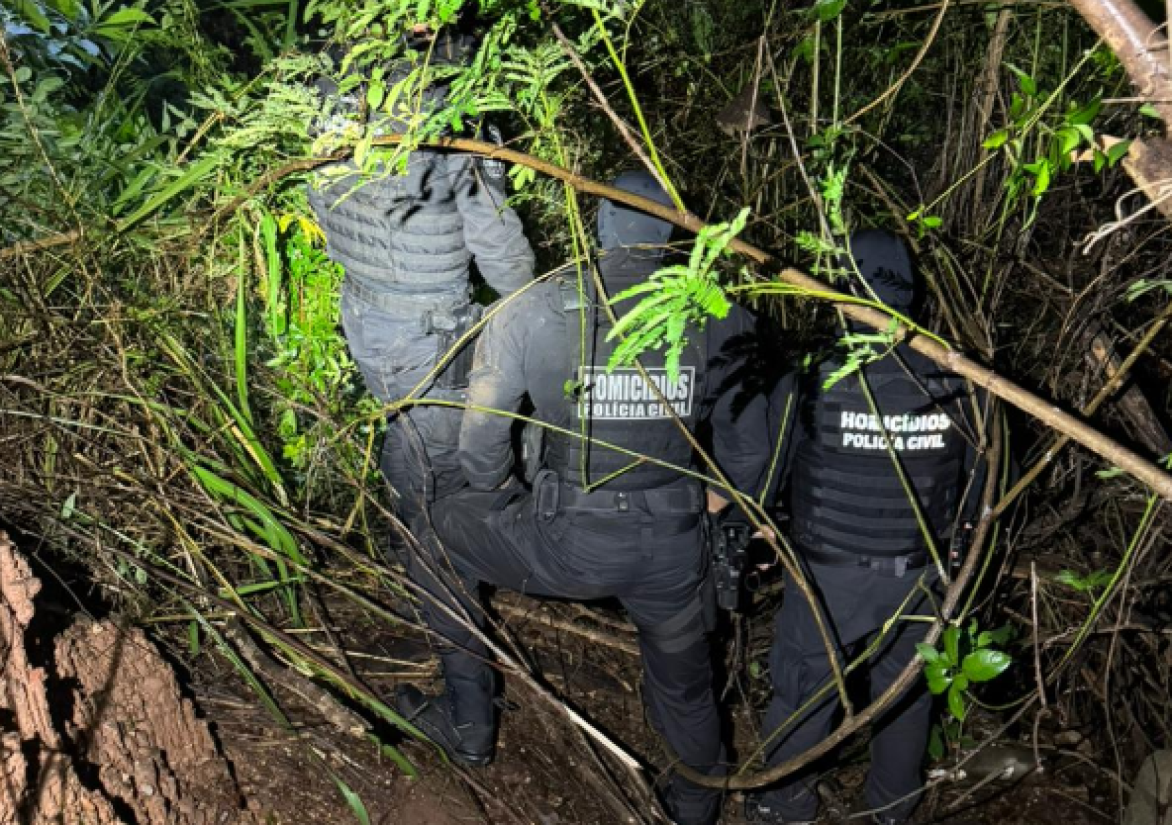 V&iacute;tima em &aacute;rea de mata em Caldas Novas; duas pessoas foram presas
