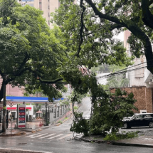 BH: chuva atinge todas as regionais da capital na manhã desta sexta (30/1) - Edésio Ferreira/EM/D.A Press