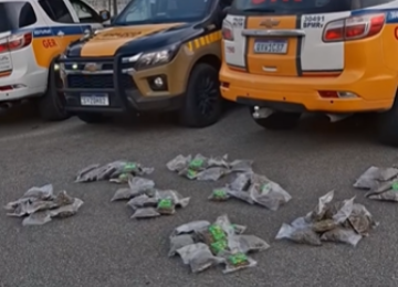 A droga apreendida na MG-050 foi avaliada em aproximadamente R$ 4 milhões -  (crédito: PMMG/Reprodução)