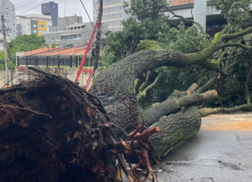 A queda ocorreu em frente ao Condomínio São Rafael, no trecho entre as ruas da Bahia e Espírito Santo -  (crédito: Corpo de Bombeiros/Reprodução)