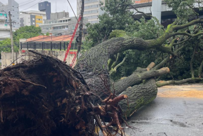 A queda ocorreu em frente ao Condomínio São Rafael, no trecho entre as ruas da Bahia e Espírito Santo -  (crédito: Corpo de Bombeiros/Reprodução)