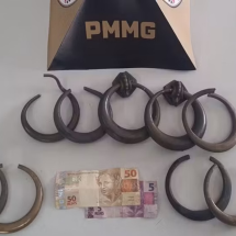 Crime no cemitério: casal é preso suspeito de furtar ornamentos  - PMMG / Divulgação