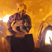 MG: vídeo mostra bombeiro em ato heroico resgatando cadela em incêndio - Corpo de Bombeiros/Reprodução