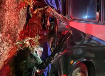 A retirada do condutor exigiu técnicas avançadas de corte e expansão do painel do veículo -  (crédito: Redes Sociais/Reprodução)