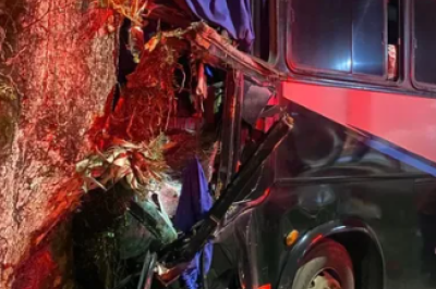 A retirada do condutor exigiu técnicas avançadas de corte e expansão do painel do veículo -  (crédito: Redes Sociais/Reprodução)