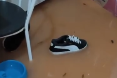 Segundo o órgão municipal da cidade, fevereiro já é o mês mais chuvoso da história de Juiz de Fora (MG) -  (crédito: Redes Sociais/Reprodução)