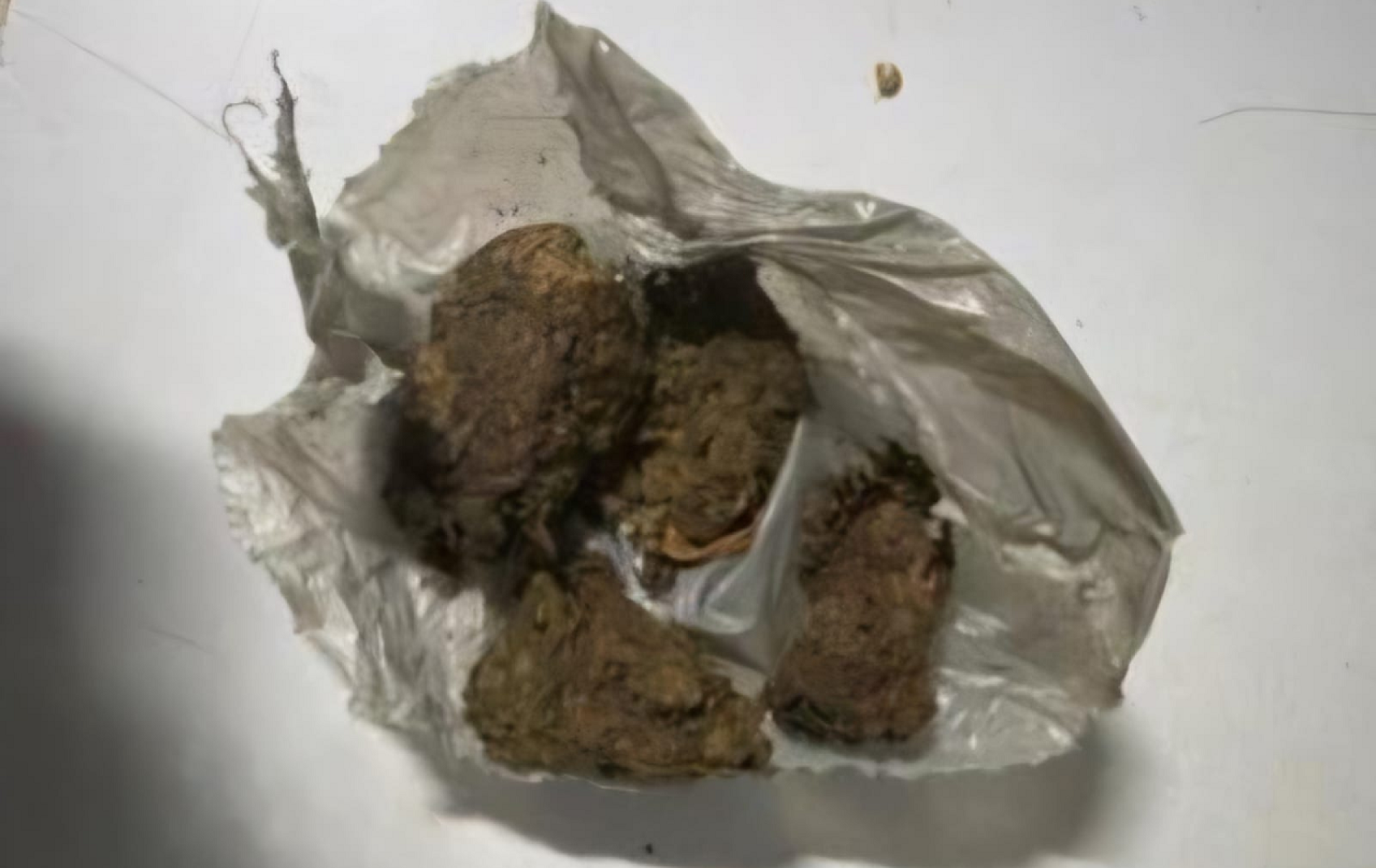 Padrasto &eacute; preso por agress&atilde;o a jovem com defici&ecirc;ncia e por tr&aacute;fico -  (crédito: PMMG/Divulga&ccedil;&atilde;o)