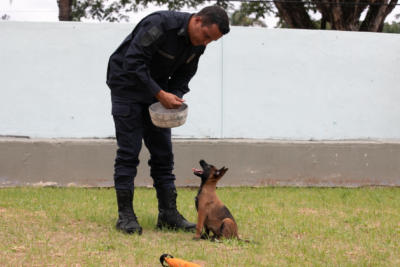 A iniciativa lúdica busca aproximar a população do trabalho desenvolvido pela Guarda Municipal -  (crédito: Crédito: Junia Garrido/PBH)