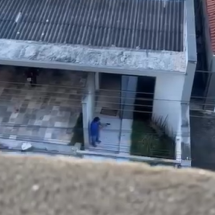 Vídeo: homem é preso suspeito de matar cachorro a tiros no interior de MG