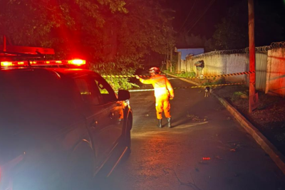 Os bombeiros orientam a população a evitar áreas alagadas, manter distância de fios elétricos e redobrar a atenção durante períodos de chuva intensa -  (crédito: Corpo de Bombeiros/Rreprodução)